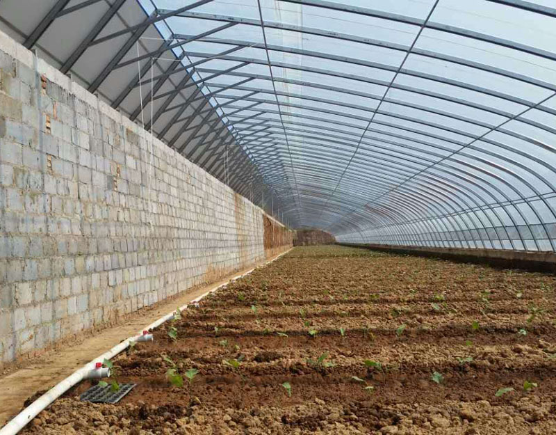 溫室大棚 溫室大棚